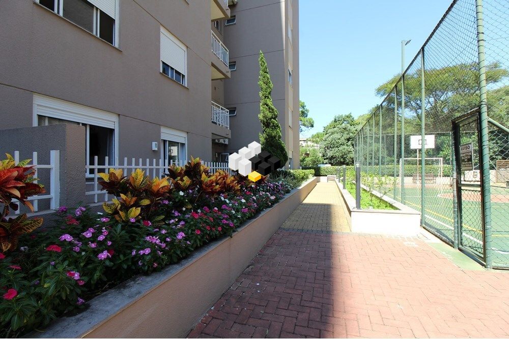 img165599803