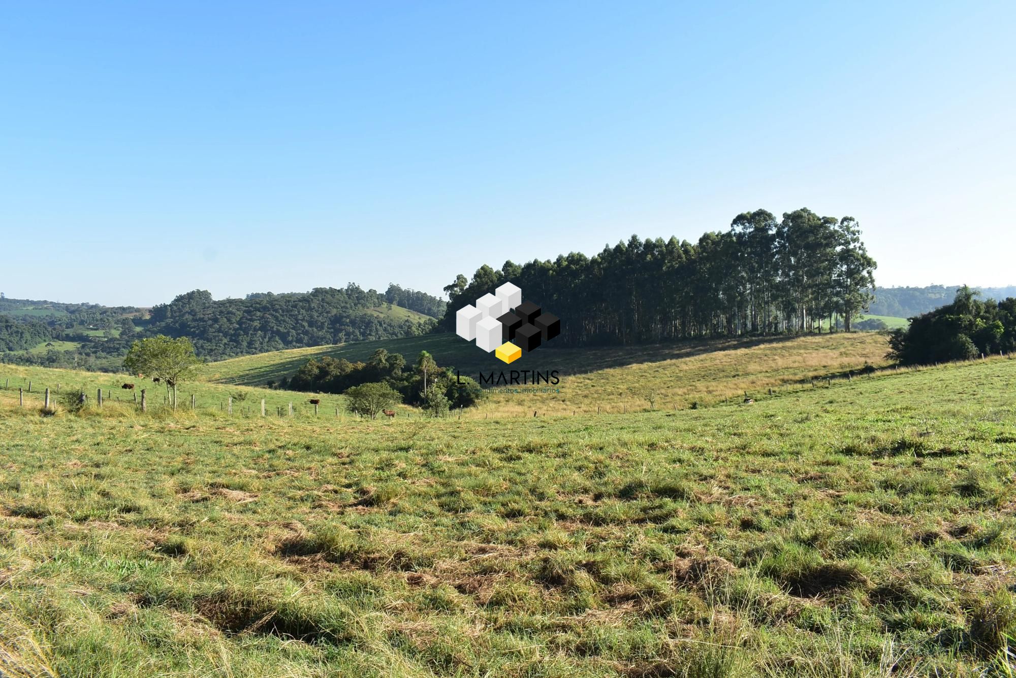 Fazenda à venda, 24200000000m² - Foto 4