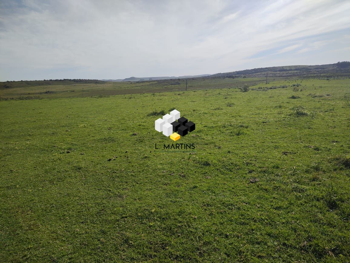 Fazenda à venda, 17690000m² - Foto 23