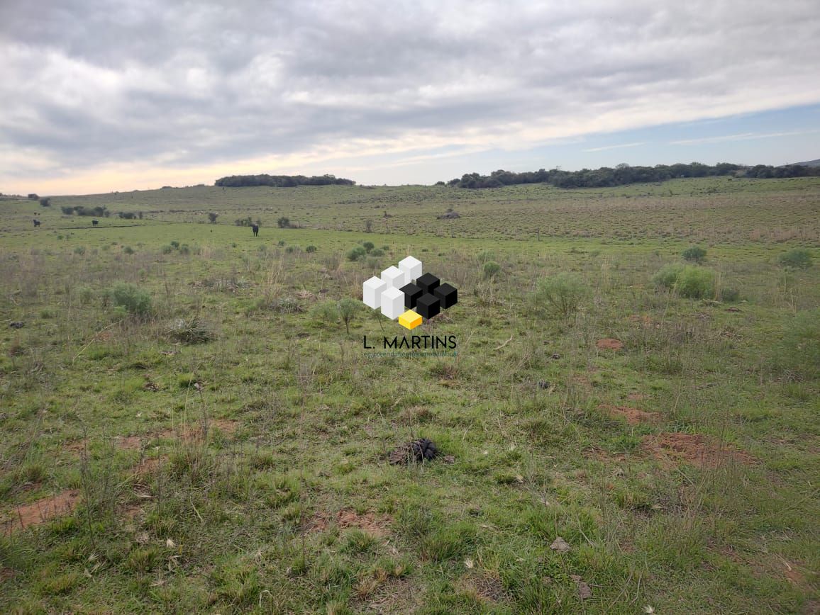 Fazenda à venda, 17690000m² - Foto 12