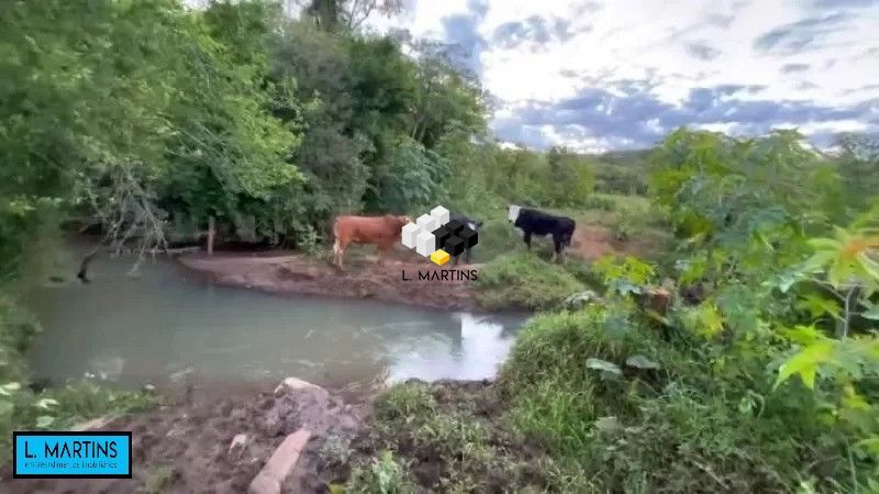 Fazenda à venda, 300000000m² - Foto 14