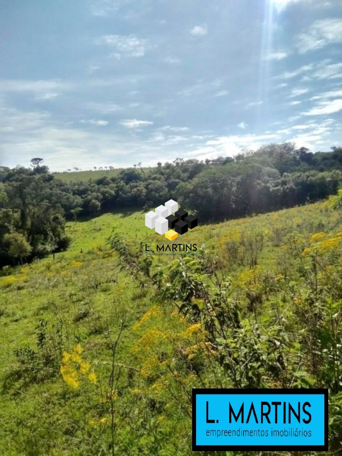 Fazenda à venda, 850000000m² - Foto 7