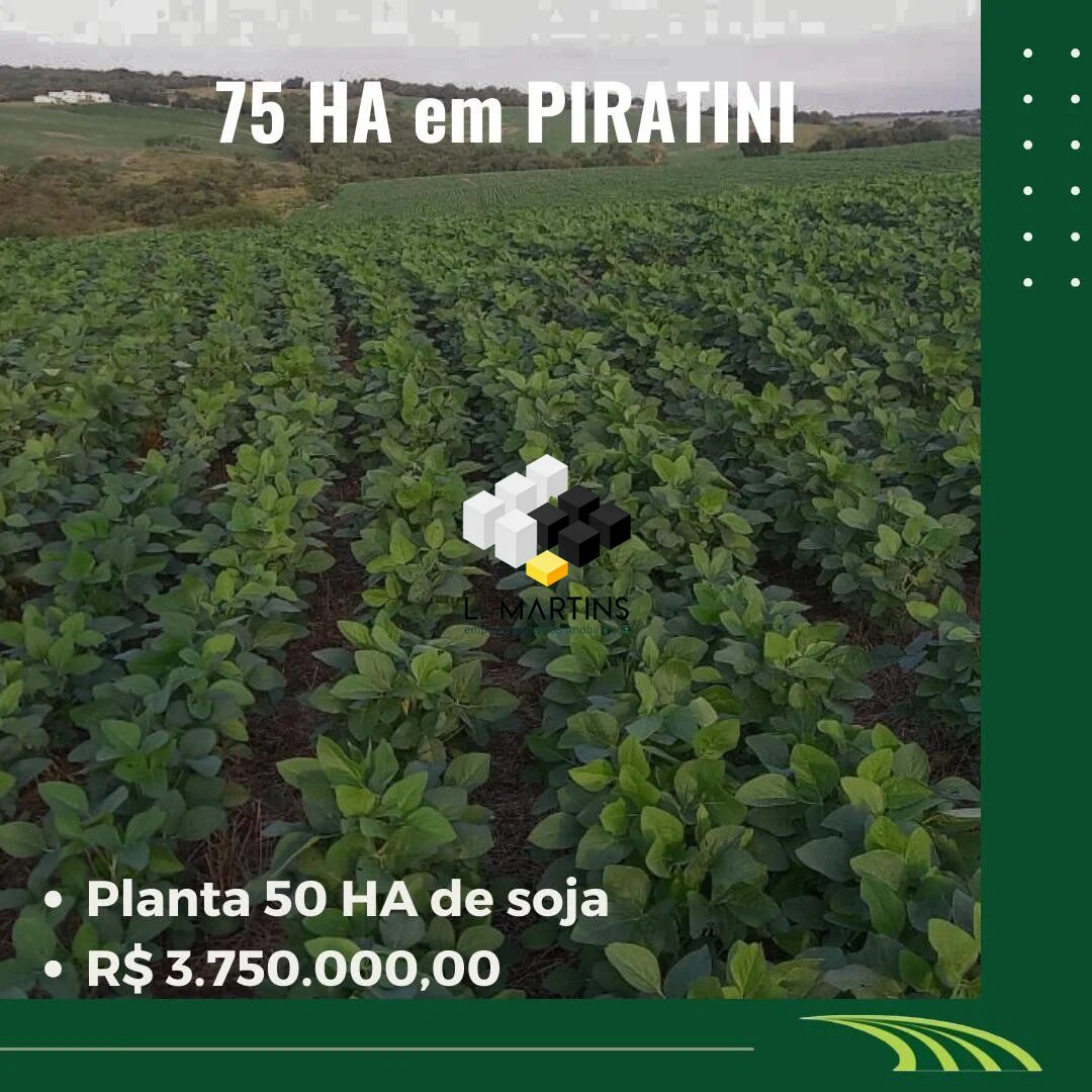 Fazenda/stio/chcara/haras  venda  no Centro - Piratini, RS. Imveis