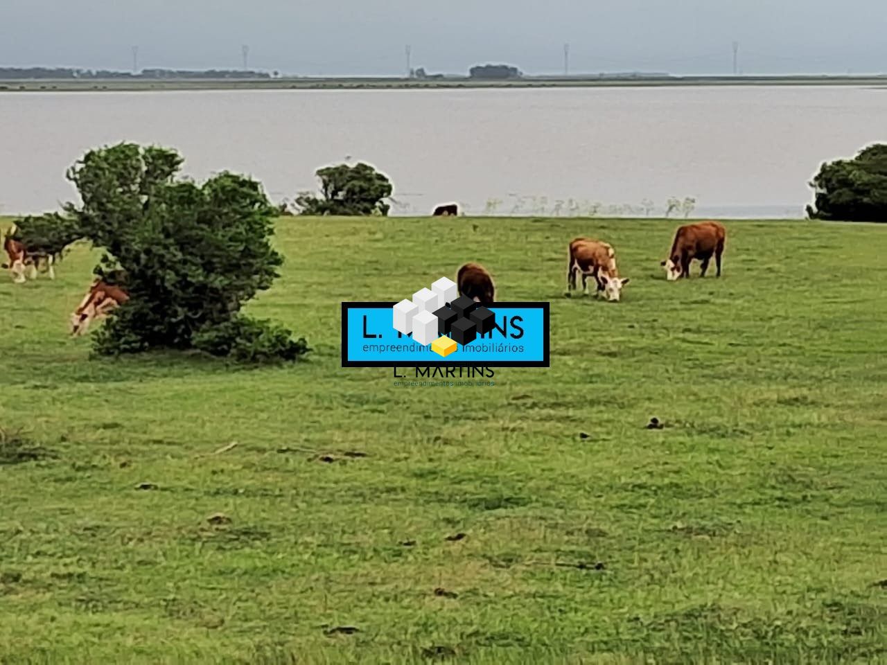 Fazenda à venda, 100000000000m² - Foto 12