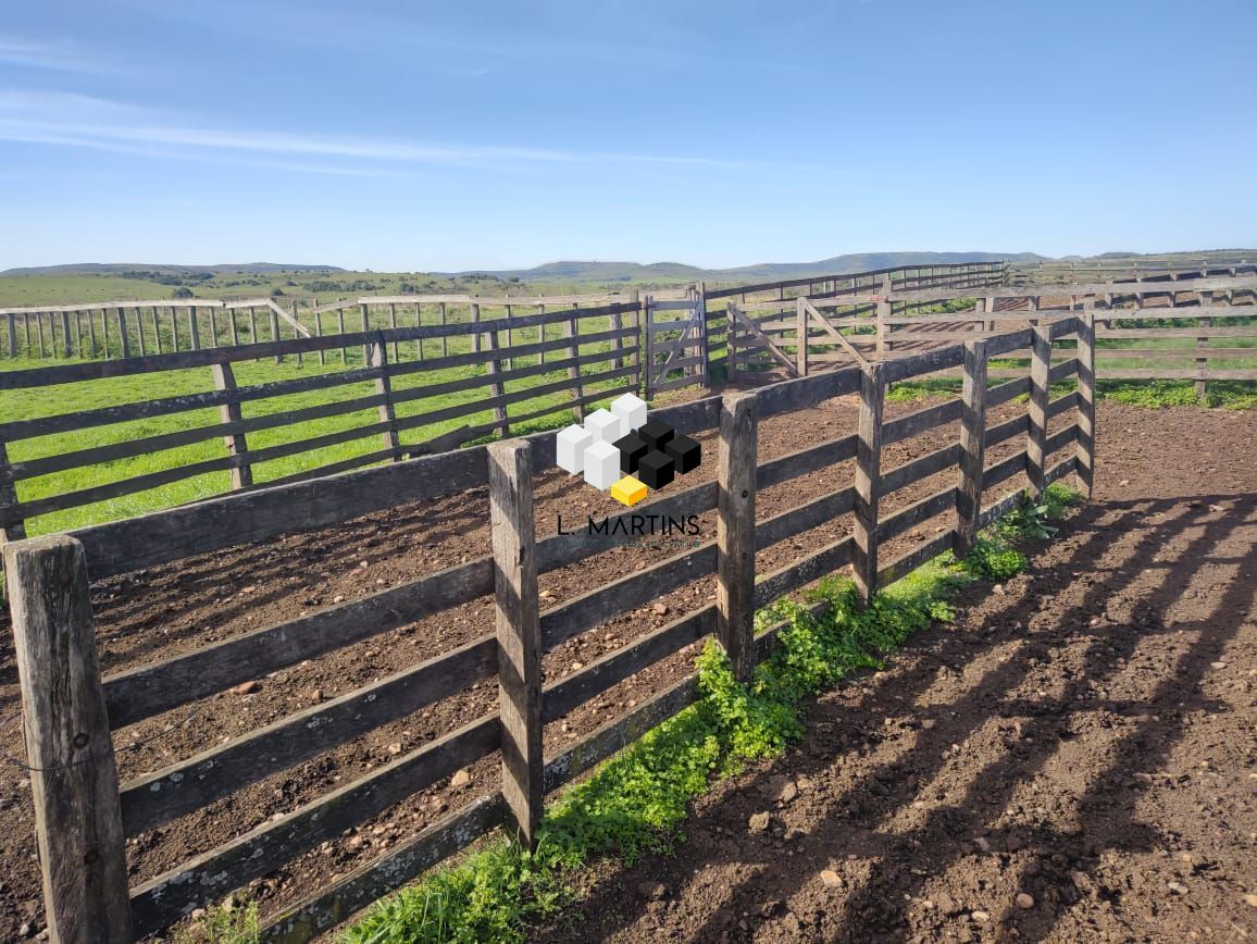 Fazenda à venda, 17690000m² - Foto 63