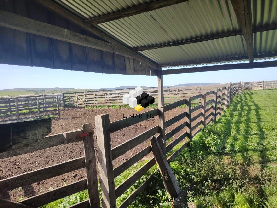 Fazenda à venda, 17690000m² - Foto 55