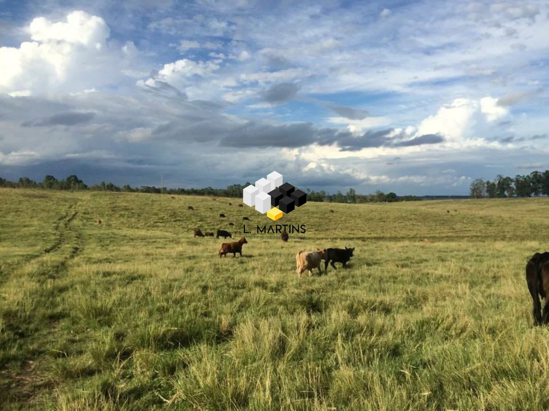 Fazenda à venda, 6000000m² - Foto 22