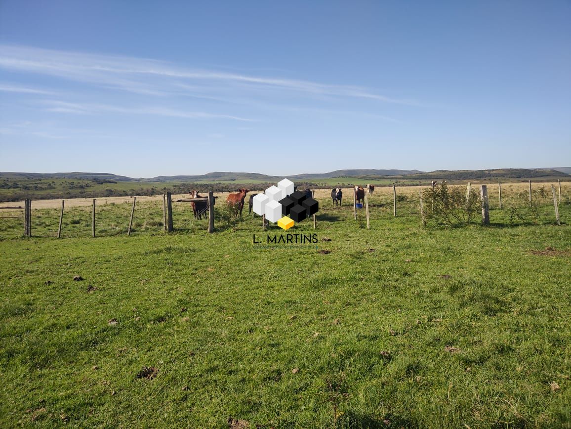 Fazenda à venda, 17690000m² - Foto 25