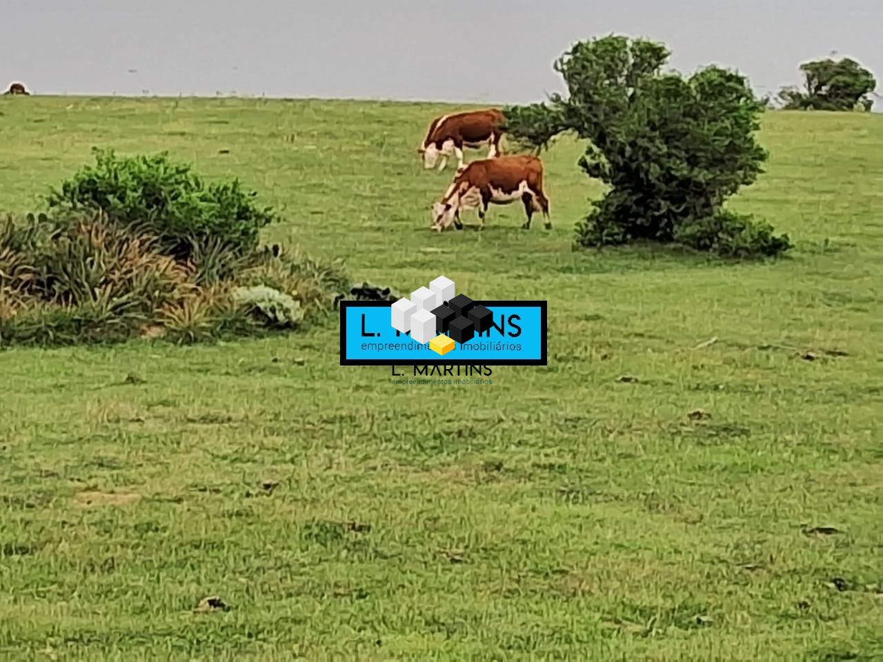 Fazenda/stio/chcara/haras  venda  no Centro - Rio Grande, RS. Imveis