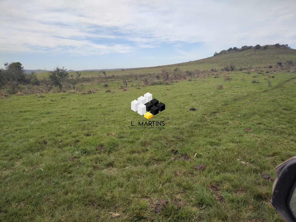 Fazenda à venda, 17690000m² - Foto 19