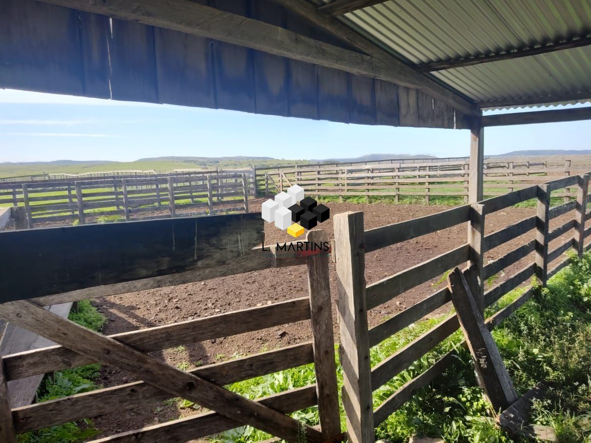 Fazenda à venda, 17690000m² - Foto 52