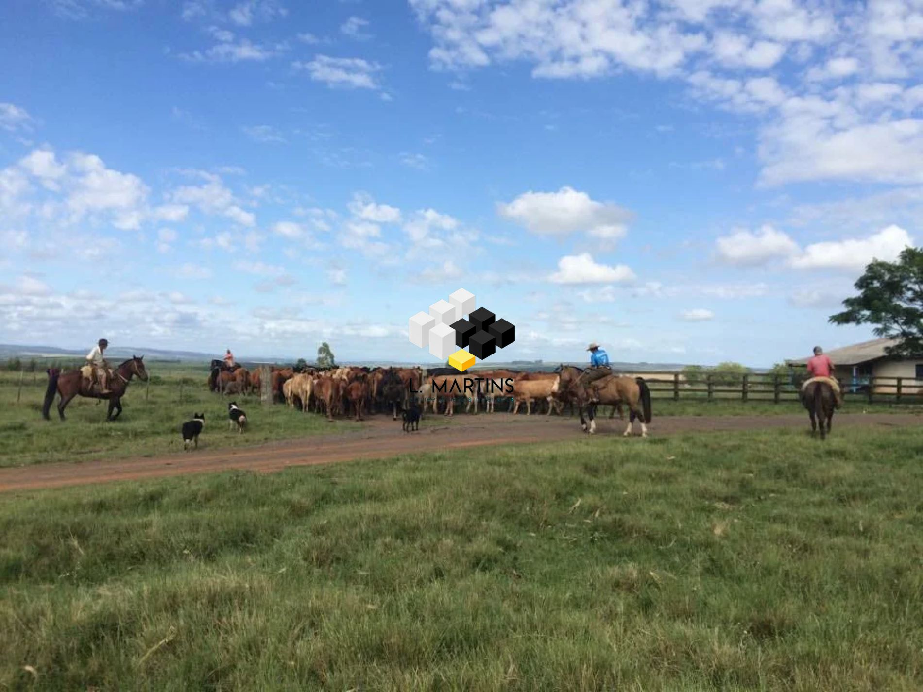 Fazenda à venda, 6000000m² - Foto 21