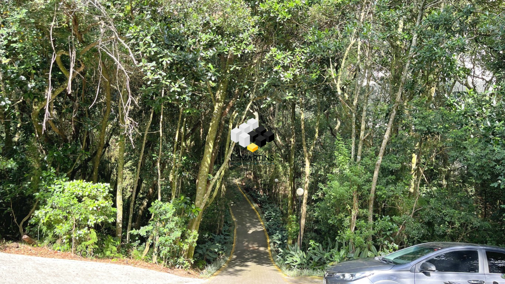 img191132574