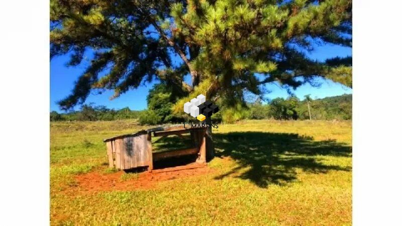 Fazenda à venda, 600000000m² - Foto 17