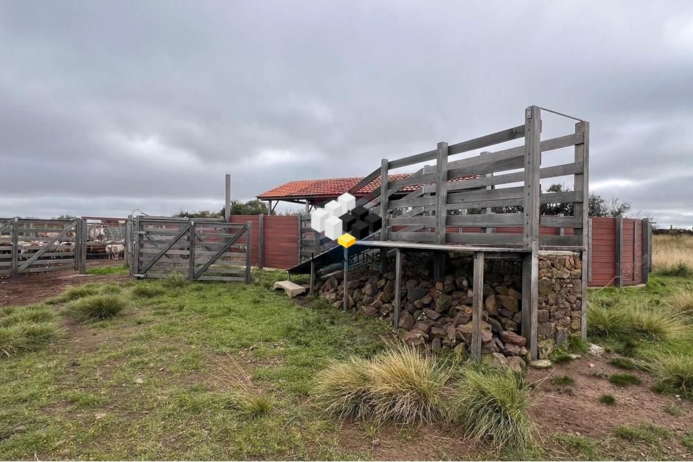 Fazenda à venda, 19800000000m² - Foto 17