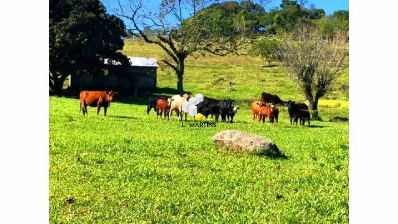 Fazenda à venda, 600000000m² - Foto 13