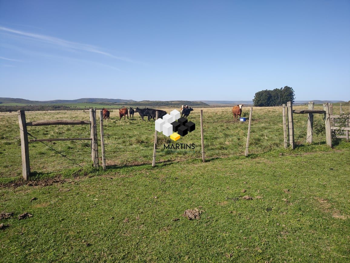 Fazenda à venda, 17690000m² - Foto 27