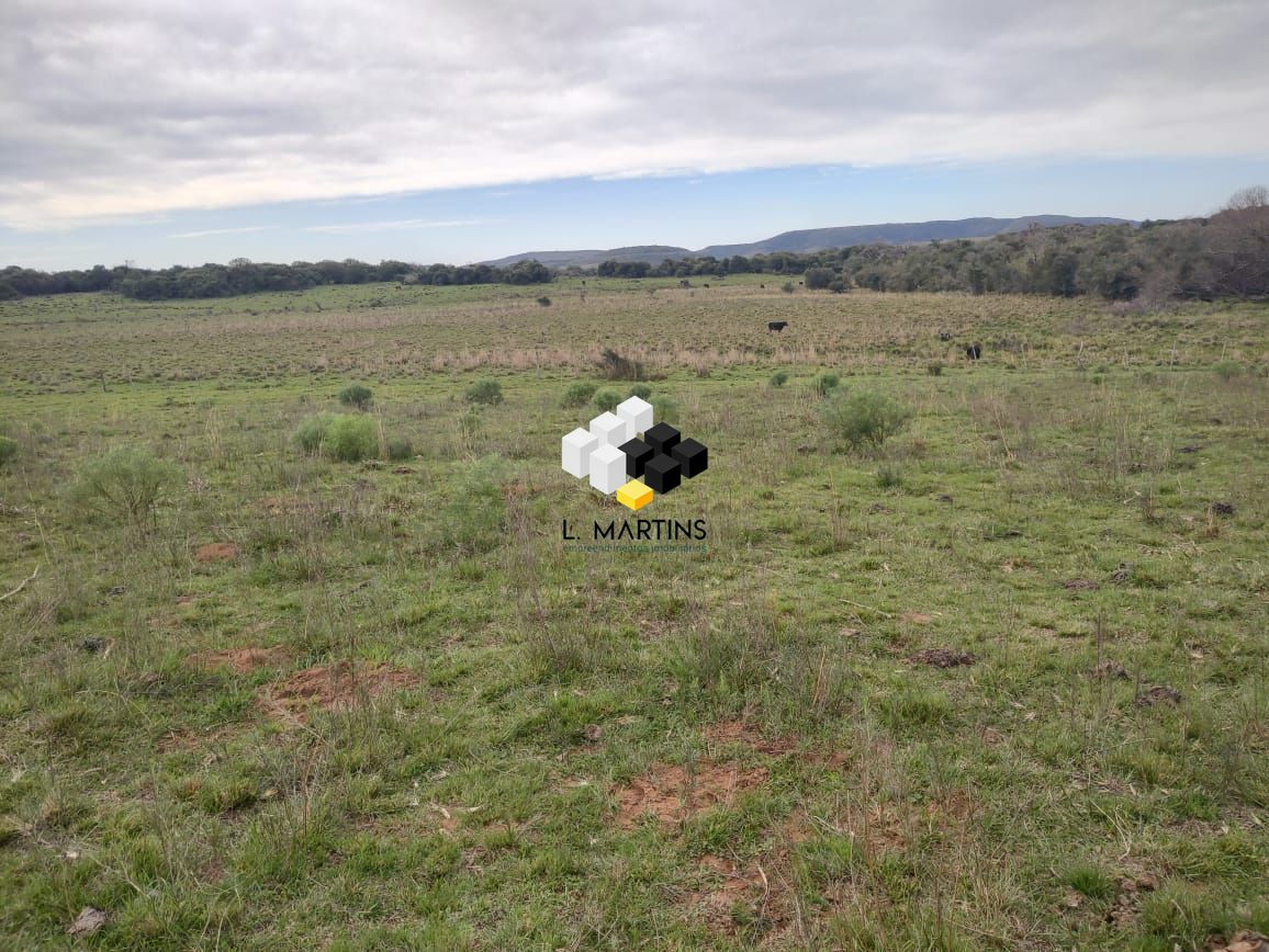 Fazenda à venda, 17690000m² - Foto 16