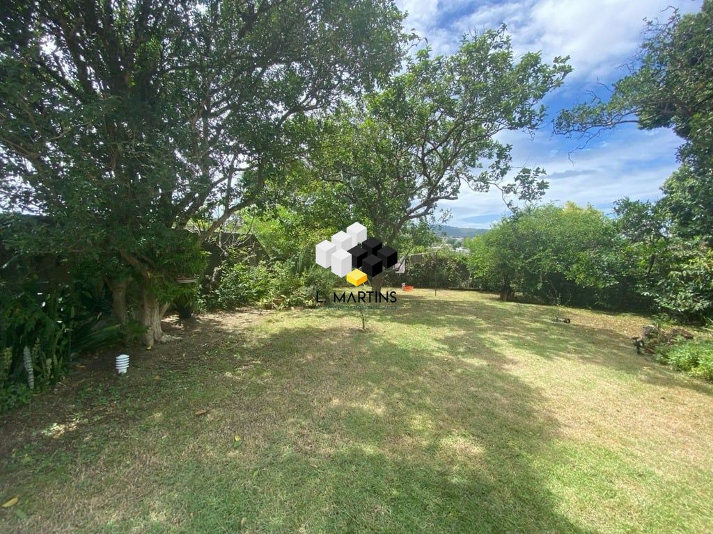 img120382482