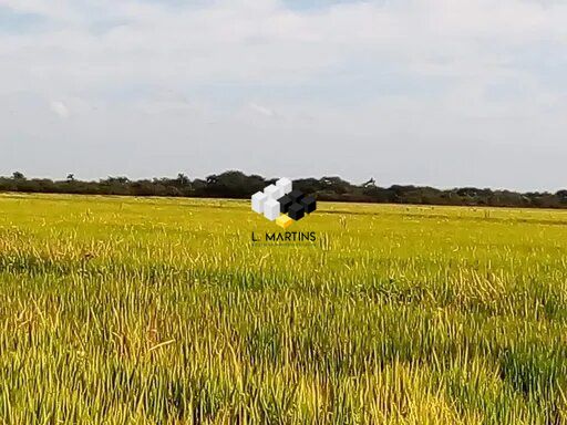 Fazenda/sítio/chácara/haras à venda  no Drews - Cachoeira do Sul, RS. Imóveis