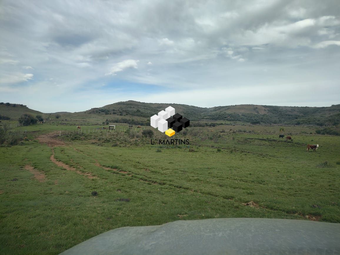 Fazenda à venda, 17690000m² - Foto 17