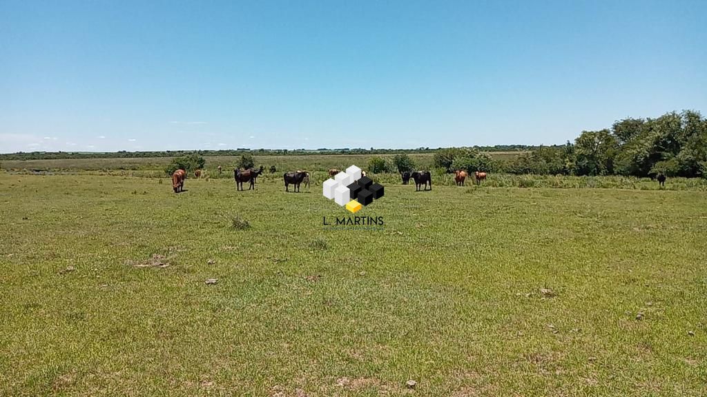Fazenda/sítio/chácara/haras à venda  no Prado - Santana do Livramento, RS. Imóveis