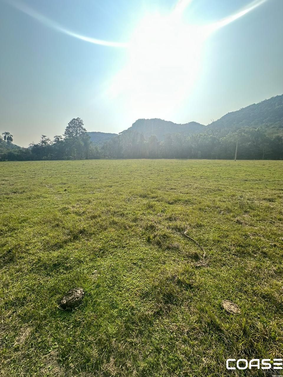 Área rural para venda em Três Barras com 3,91 ha
