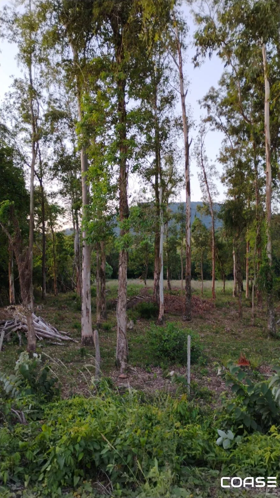 Terreno de 2.500 m² na Estrada do Radar/Silveira Martins.