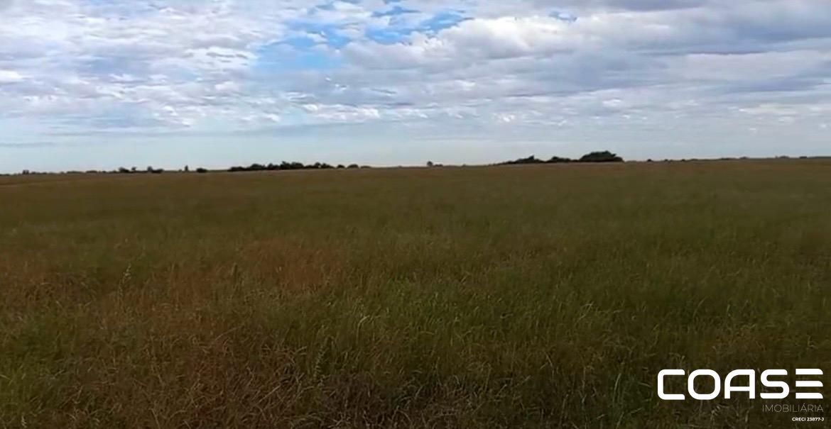 Área para pecuária