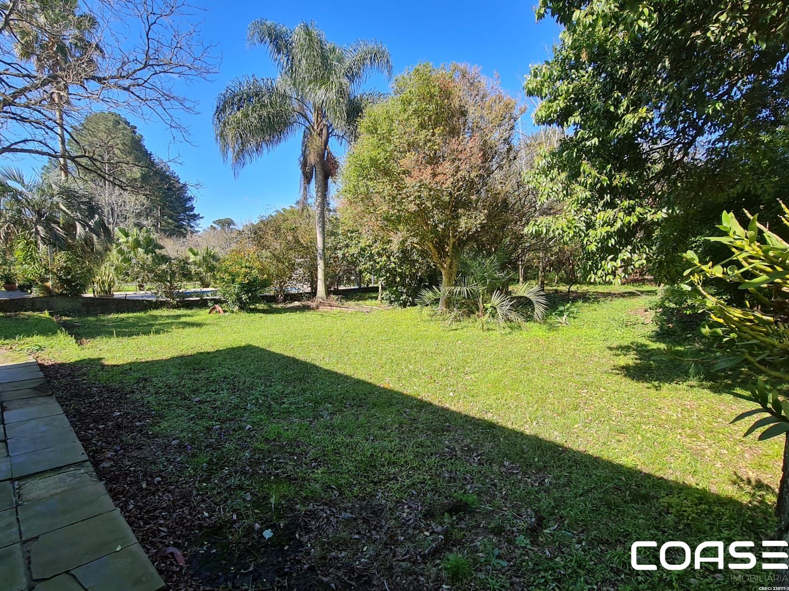 🏡 Casa com Pátio Amplo de 3.545 m², Árvores Frutíferas e Galpão Comercial à Vend