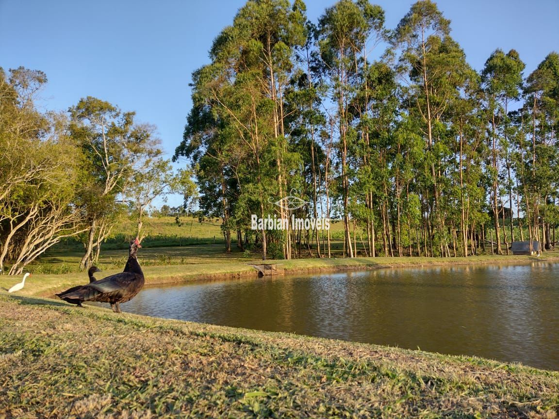 Fazenda à venda com 3 quartos, 398m² - Foto 25