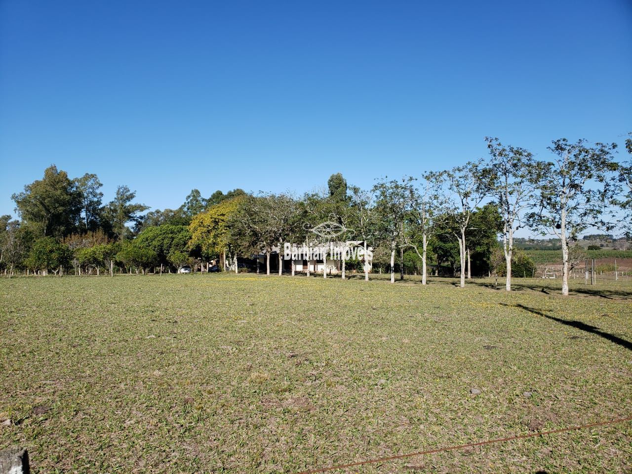 Fazenda à venda com 3 quartos, 200m² - Foto 15