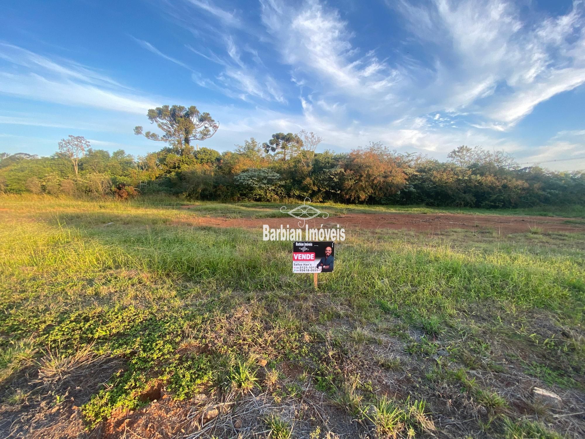 Terreno/Lote à venda  no João Alves - Santa Cruz do Sul, RS. Imóveis