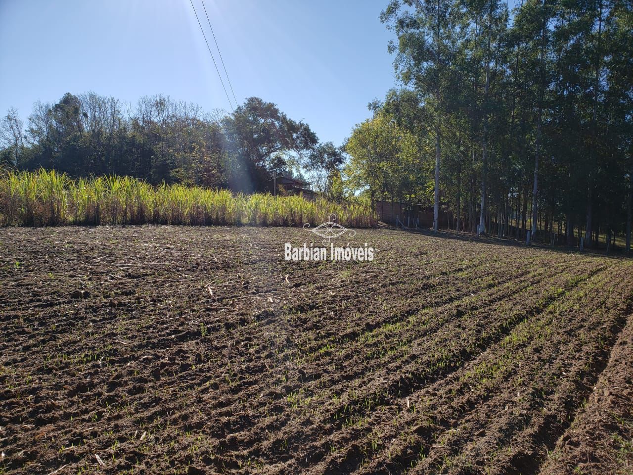 Fazenda à venda com 3 quartos, 200m² - Foto 21