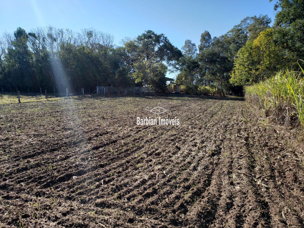 Fazenda à venda com 3 quartos, 200m² - Foto 4