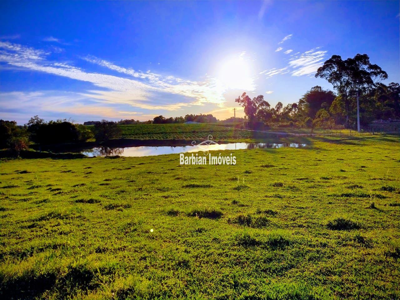 Fazenda à venda com 3 quartos, 200m² - Foto 5