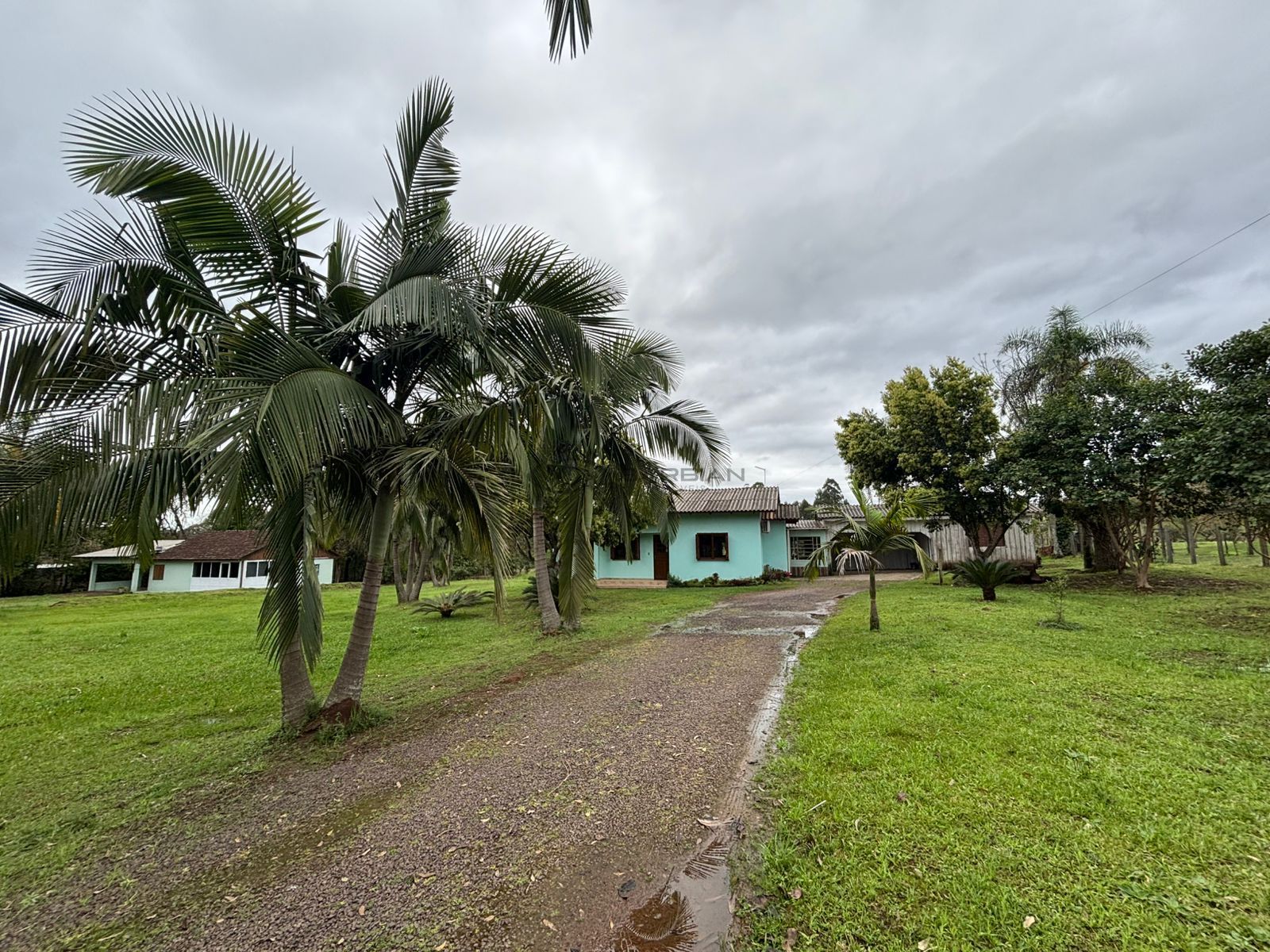 Fazenda/sítio/chácara/haras à venda  no Cipriano de Oliveira - Vera Cruz, RS. Imóveis