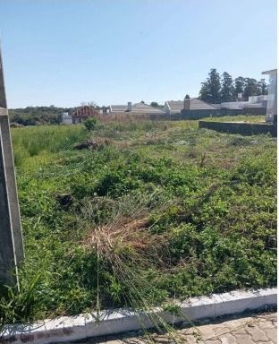 Terreno/Lote à venda  no João Alves - Santa Cruz do Sul, RS. Imóveis