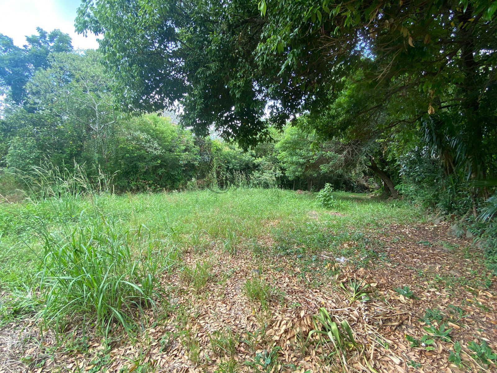 Terreno comercial à venda, 600 m² por R$ 734.000,00 Terreno comercial à venda, 600 m² por R$ 734.000,00