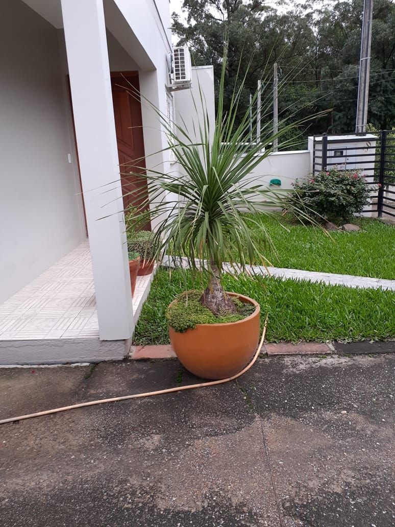 Casa com 3 Dormitórios à venda, 88 m² por R$ 375.000,00 Casa com 3 Dormitórios à venda, 88 m² por R$ 375.000,00