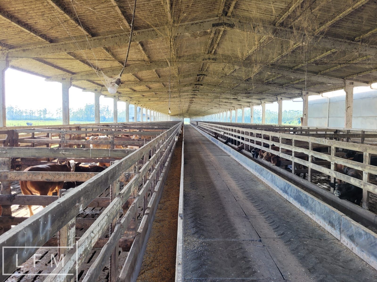 Fazenda, 800 m² - Foto 61