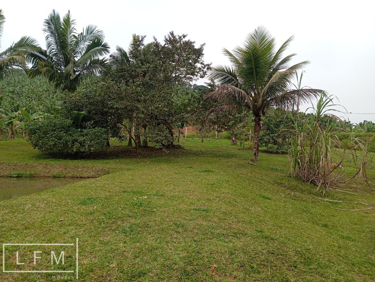Sitio a venda em São Joao do Itaperiu Sc