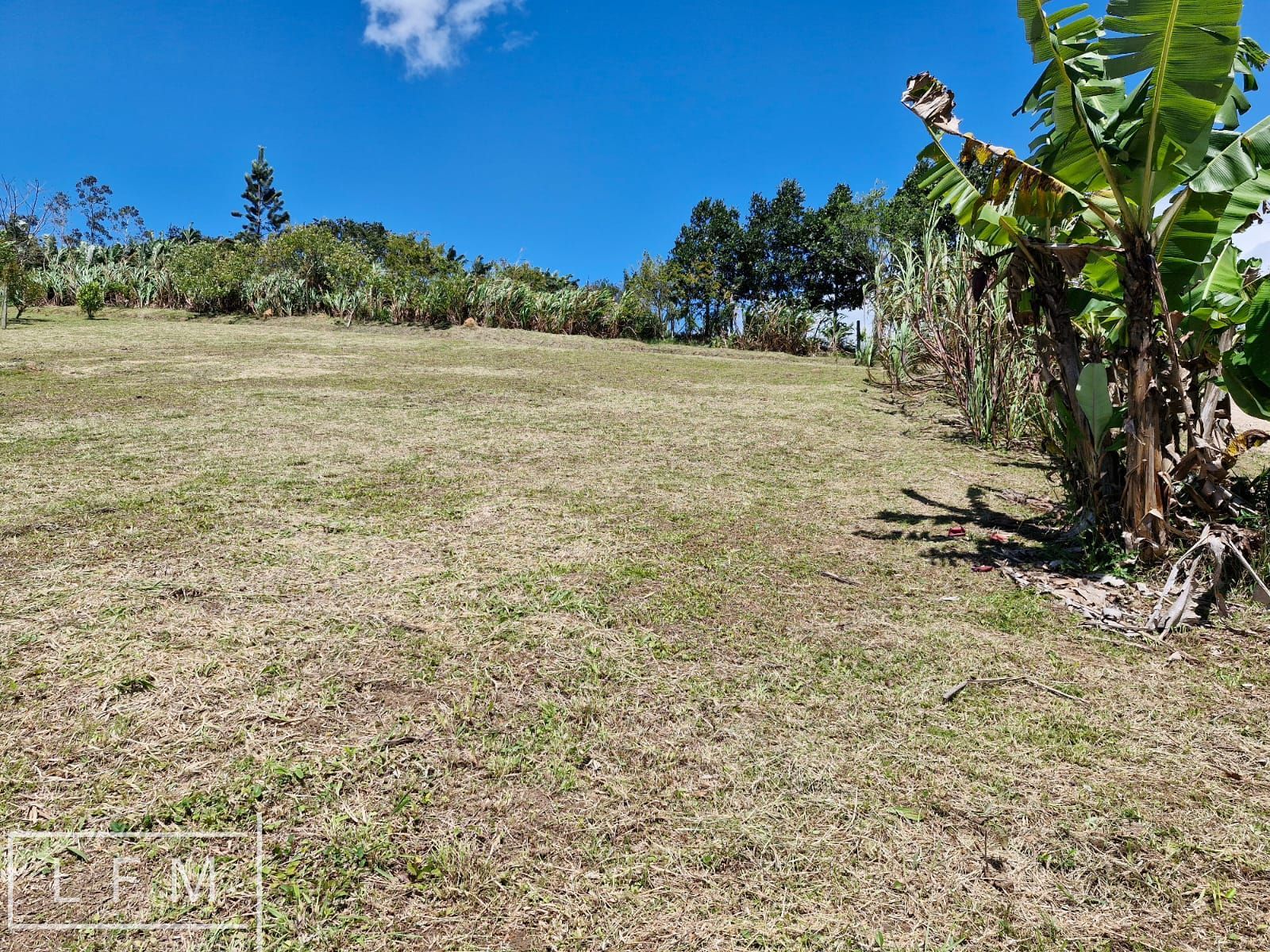 Chácara, 2 quartos, 5300 m² - Foto 13