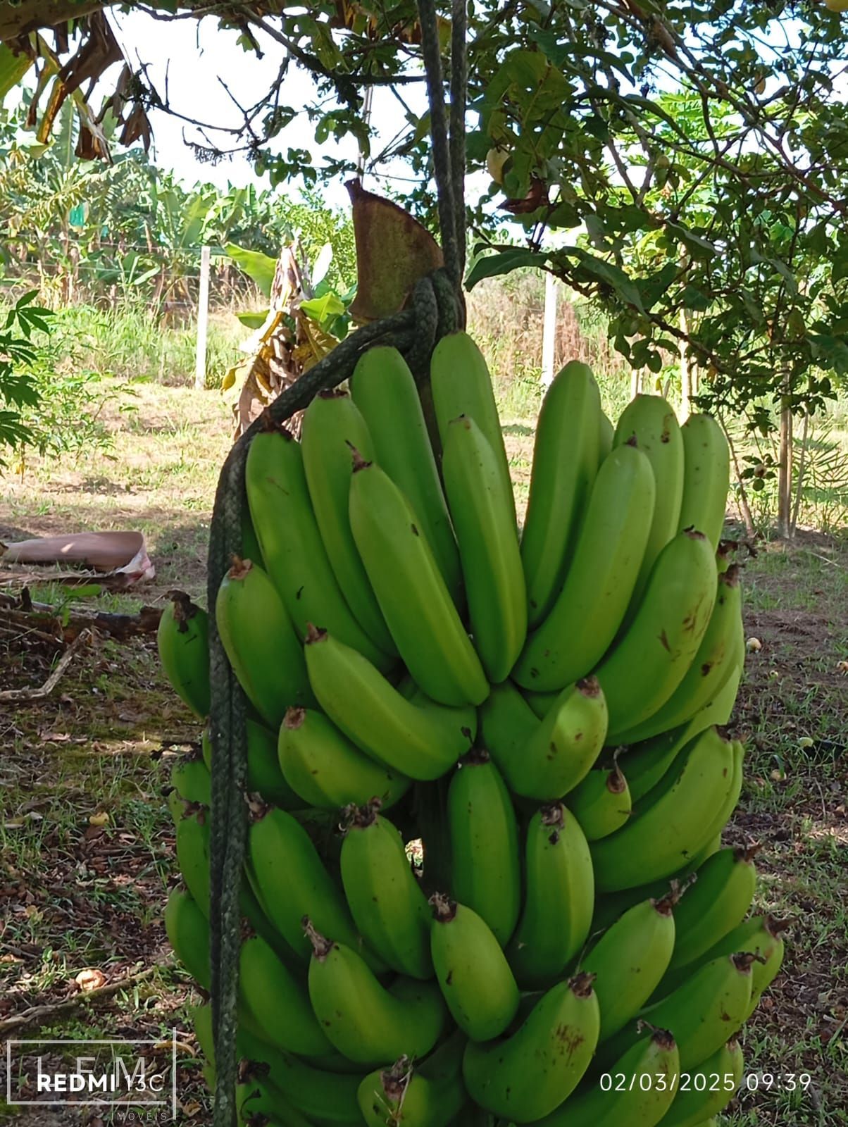 Sitio a venda em São Joao do Itaperiu Sc