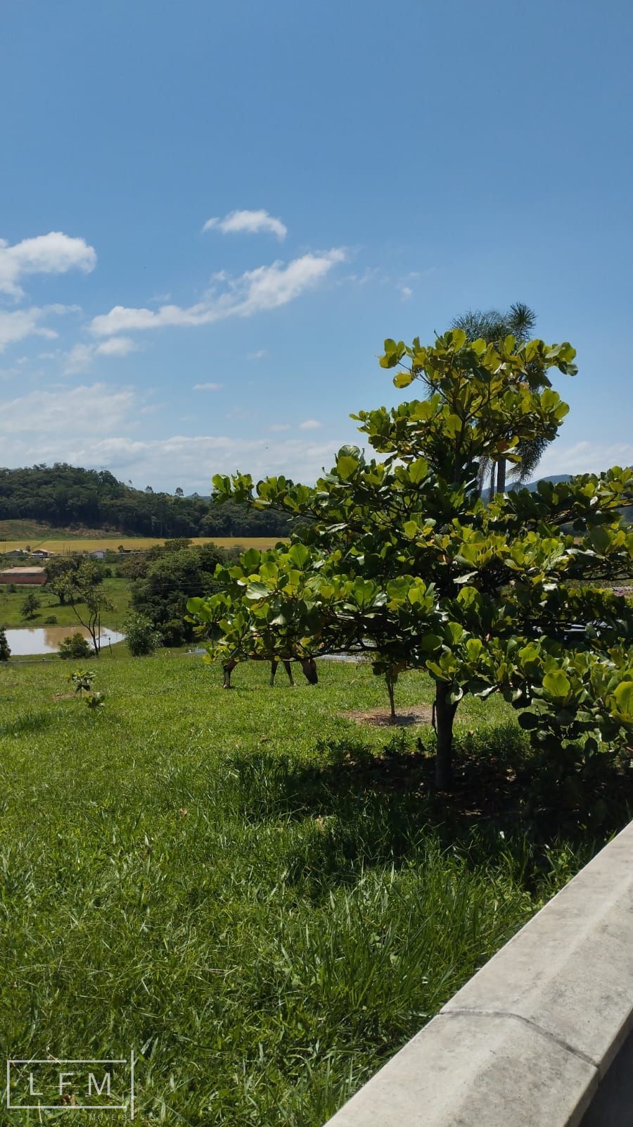 Chácara, 3 quartos, 4500 m² - Foto 13