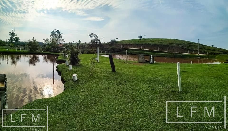 Fazenda à venda com 3 quartos, 10000m² - Foto 7