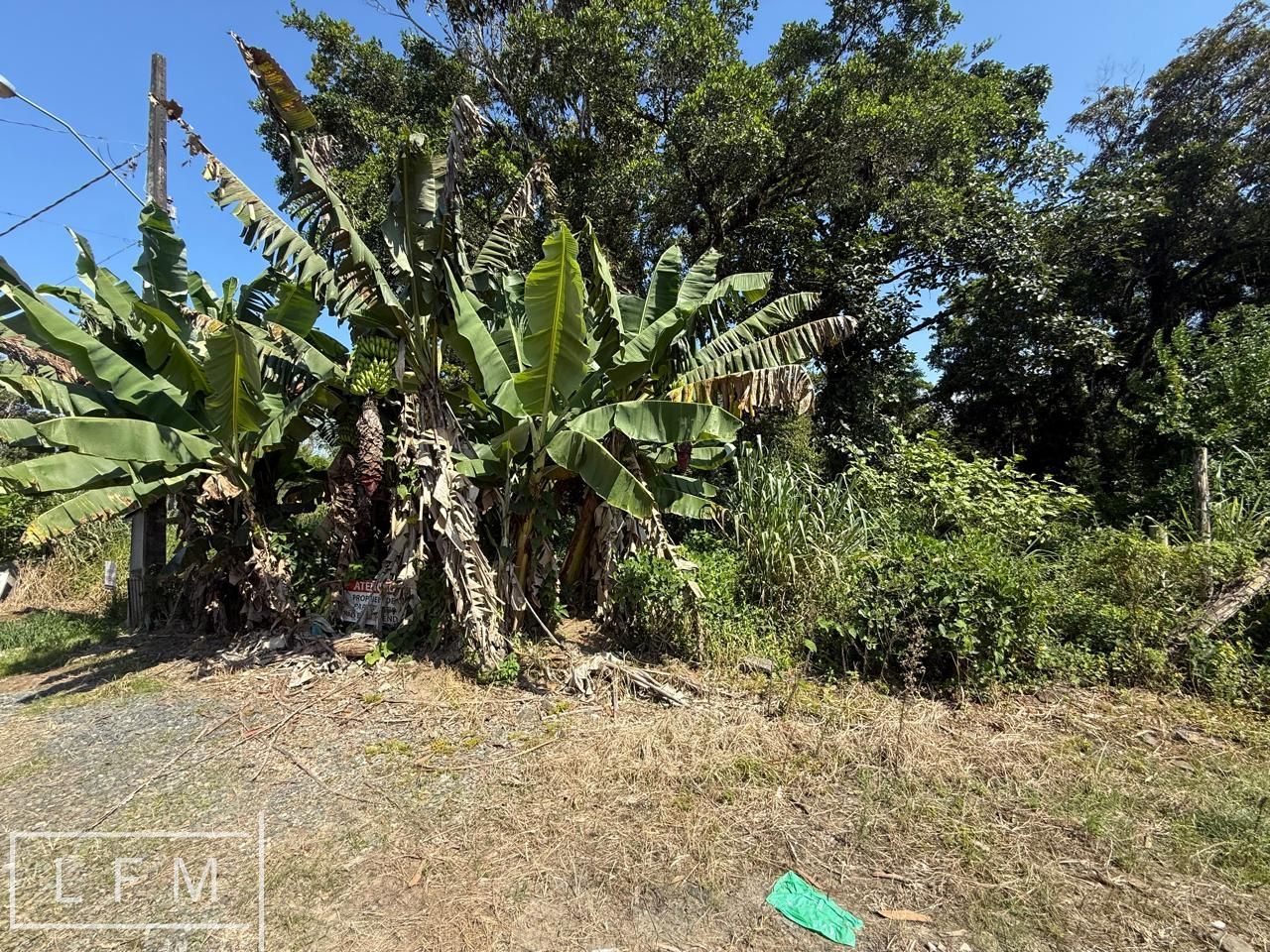 Terreno à venda, 260m² - Foto 4