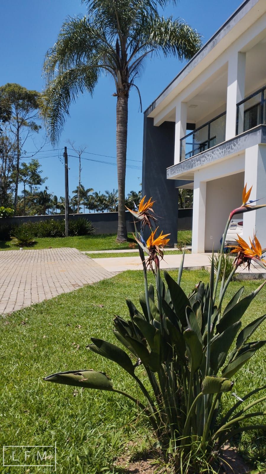 Chácara, 3 quartos, 4500 m² - Foto 4