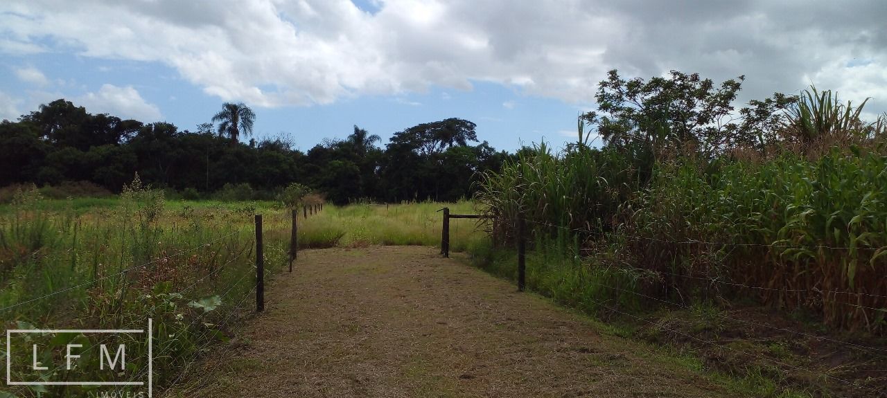 Fazenda à venda com 3 quartos, 140m² - Foto 19