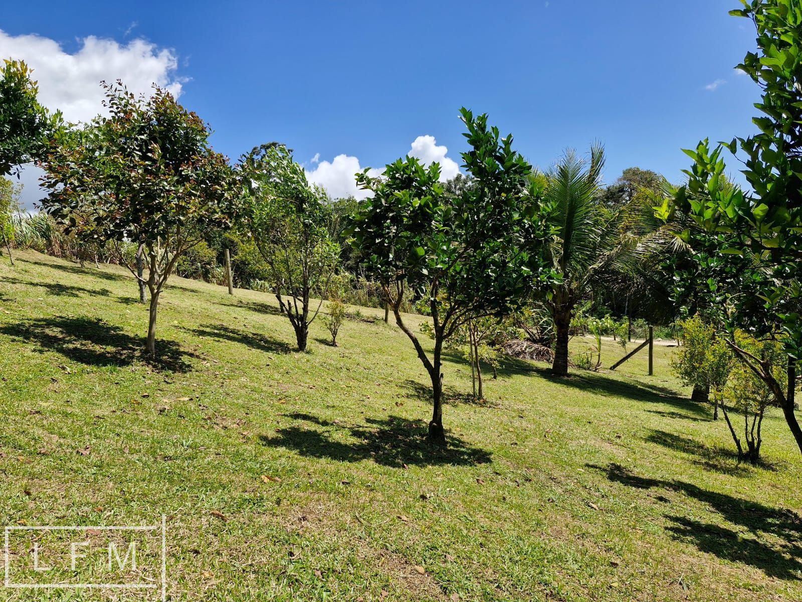 Chácara, 2 quartos, 5300 m² - Foto 12